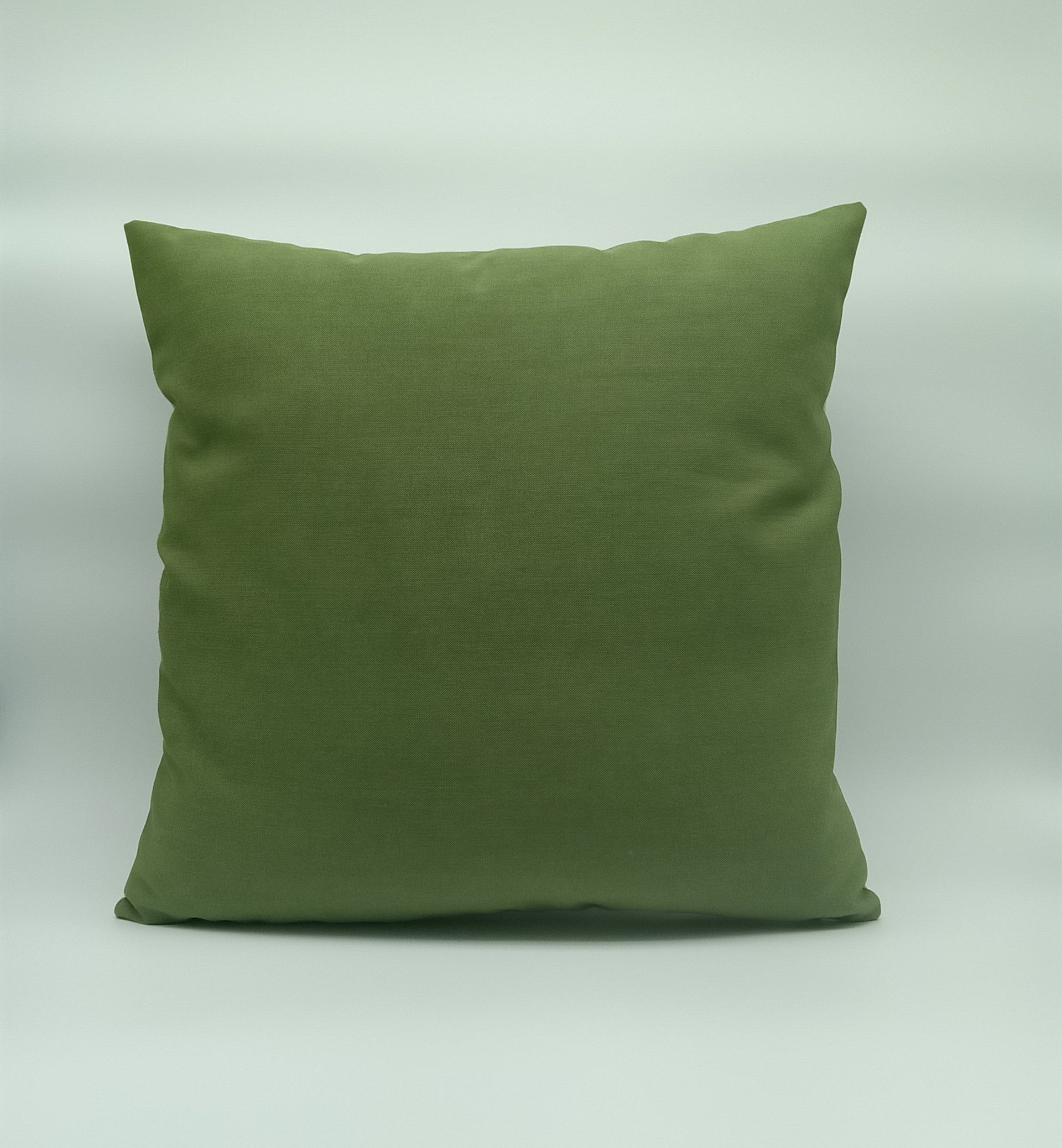 cilantro pillow cover